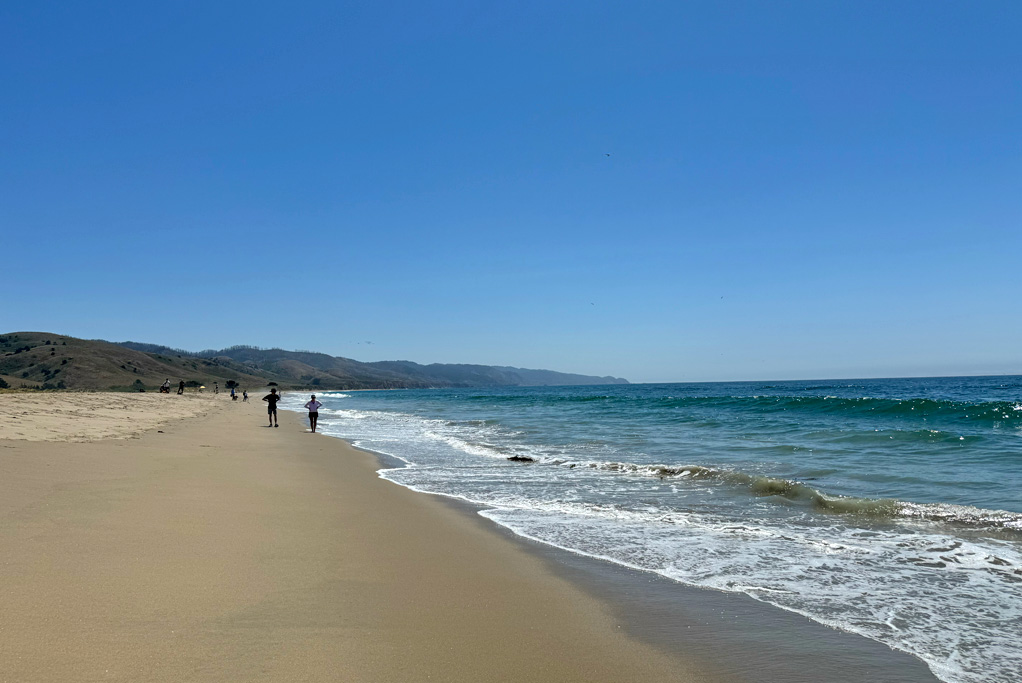 Limantour Rd Point Reyes Explore Family Friendly Limantour Beach in Point Reyes | Marin Mommies