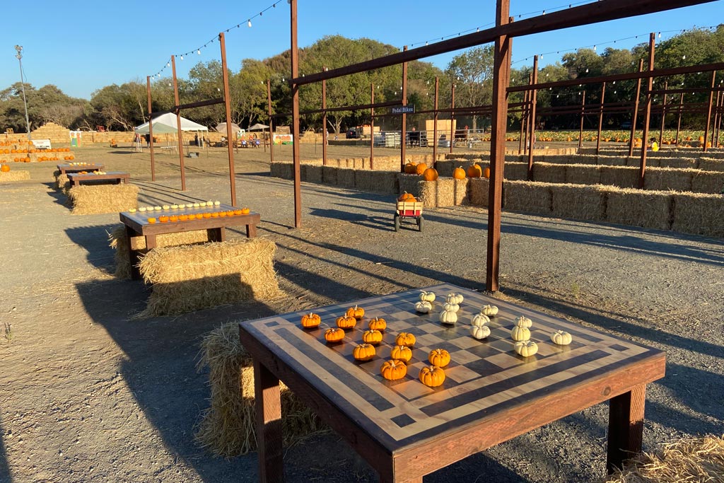 Mickelson Pumpkin Patch in Petaluma is Back for More Fall Fun Marin Mommies