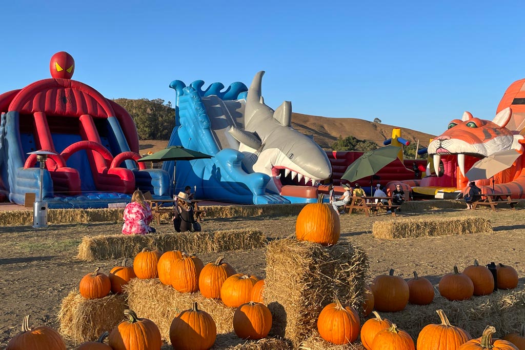 Mickelson Pumpkin Patch in Petaluma is Back for More Fall Fun Marin Mommies