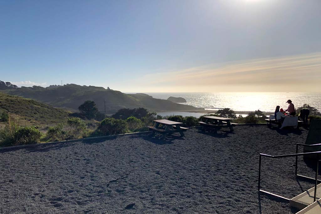 A Visit to the Marine Mammal Center | Marin Mommies