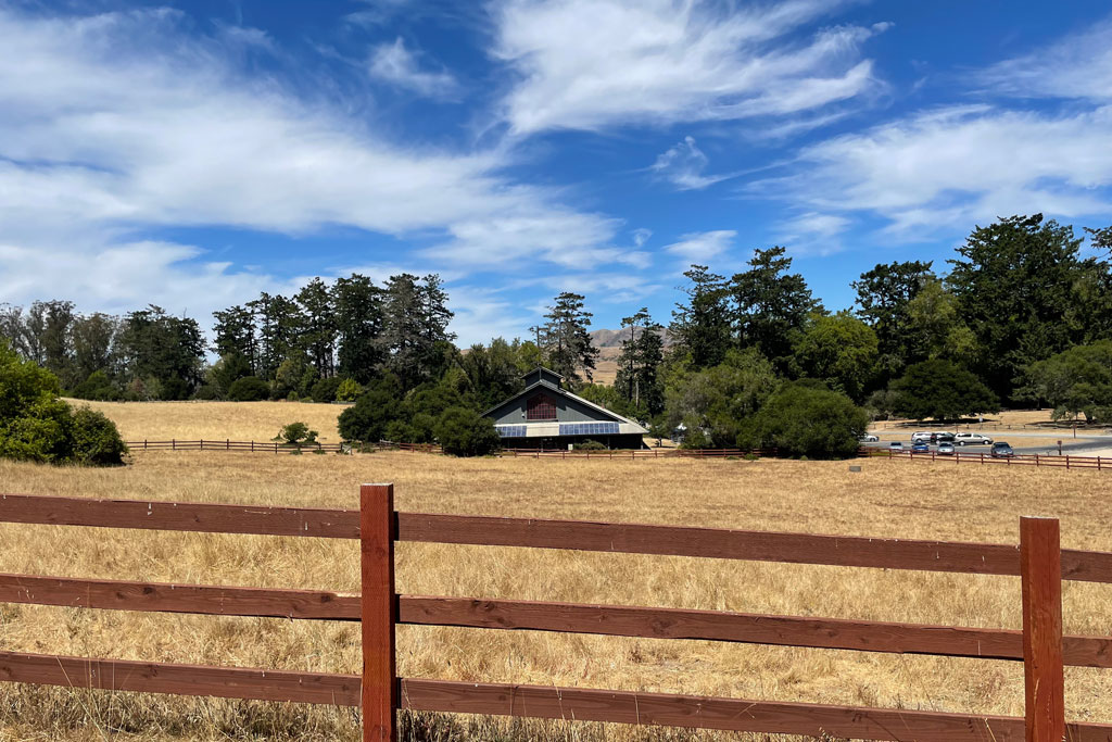 Visit the Morgan Horse Ranch at Point Reyes | Marin Mommies