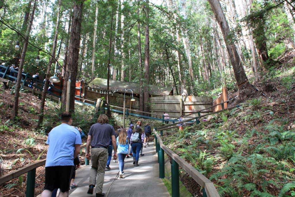 mystery spot santa cruz mystery spot santa cruz