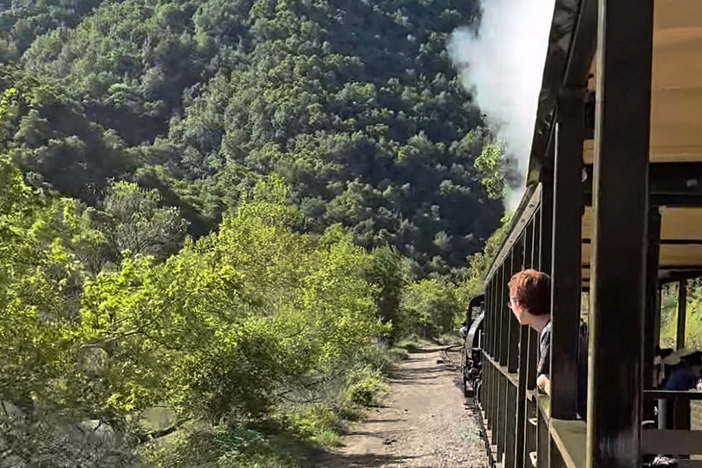 Niles Canyon Railway: An Awesome Bay Area Train Adventure! | Marin Mommies