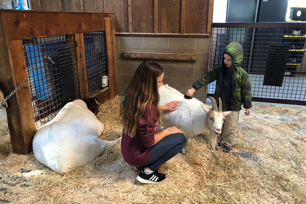 Wildlife Adventure at the Oakland Zoo Marin Mommies