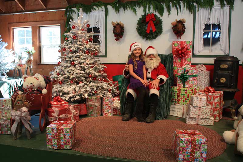 UCut Christmas Tree Farms in Petaluma Marin Mommies