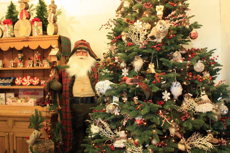 u cut christmas tree farms in petaluma marin mommies u cut christmas tree farms in petaluma marin mommies