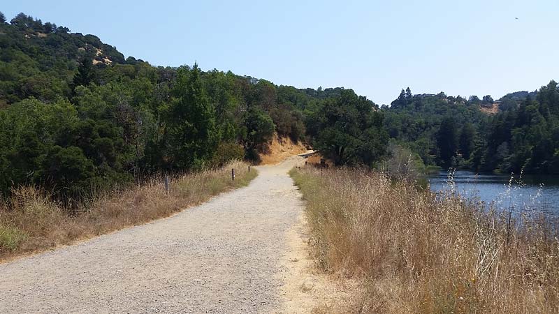 Family Hike at Phoenix Lake | Marin Mommies
