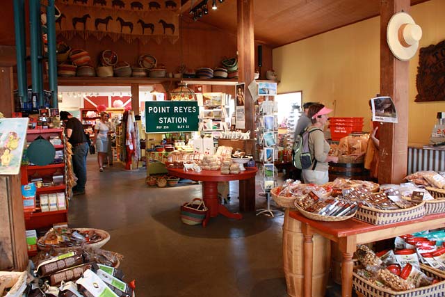 Point Reyes Lunch Box Day Out in Point Reyes Station | Marin Mommies