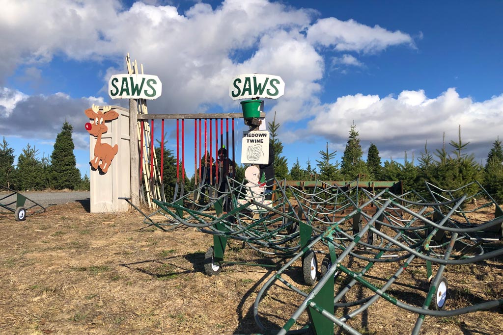 UCut Christmas Tree Farms in Sebastopol Marin Mommies