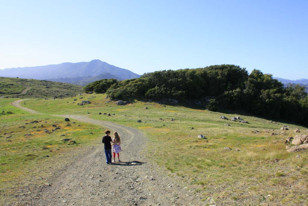 Spectacular Views and Spring Wildflowers Await at Ring Mountain | Marin