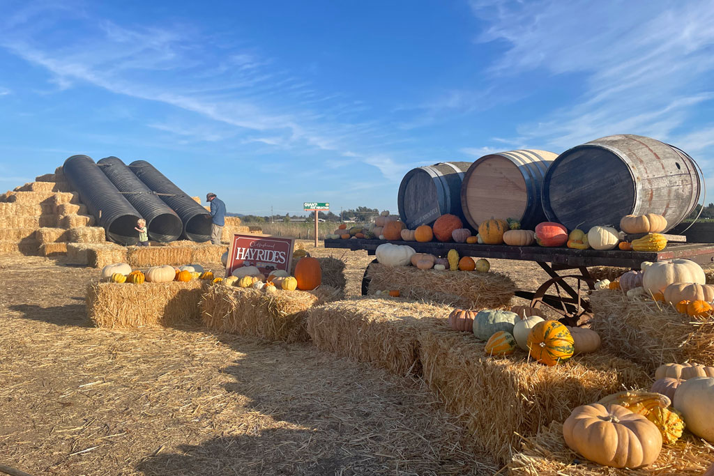 Family Farm Fun at Santa Rosa Pumpkin Patch Marin Mommies