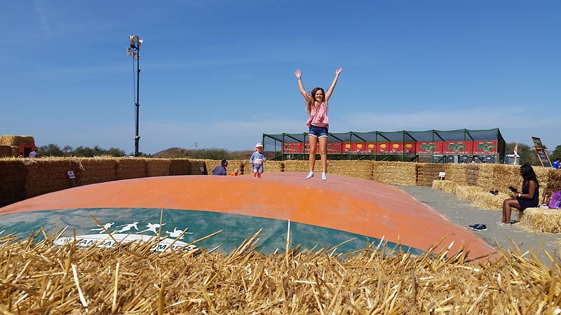 Family Farm Fun at Santa Rosa Pumpkin Patch | Marin Mommies