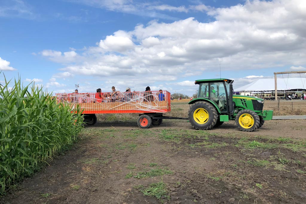 Family Farm Fun at Santa Rosa Pumpkin Patch | Marin Mommies