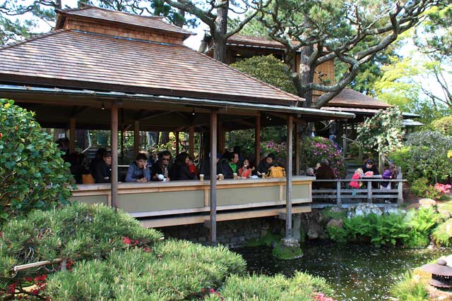 Spring is in Bloom at the Japanese Tea Garden | Marin Mommies