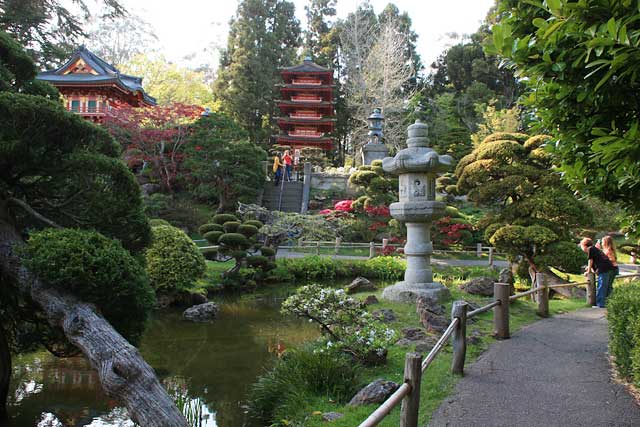 Spring is in Bloom at the Japanese Tea Garden | Marin Mommies