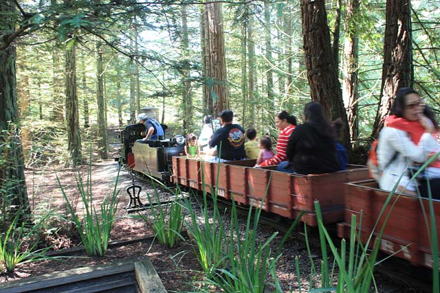 Explore Berkeley's Tilden Park for Family Fun and Adventure | Marin Mommies