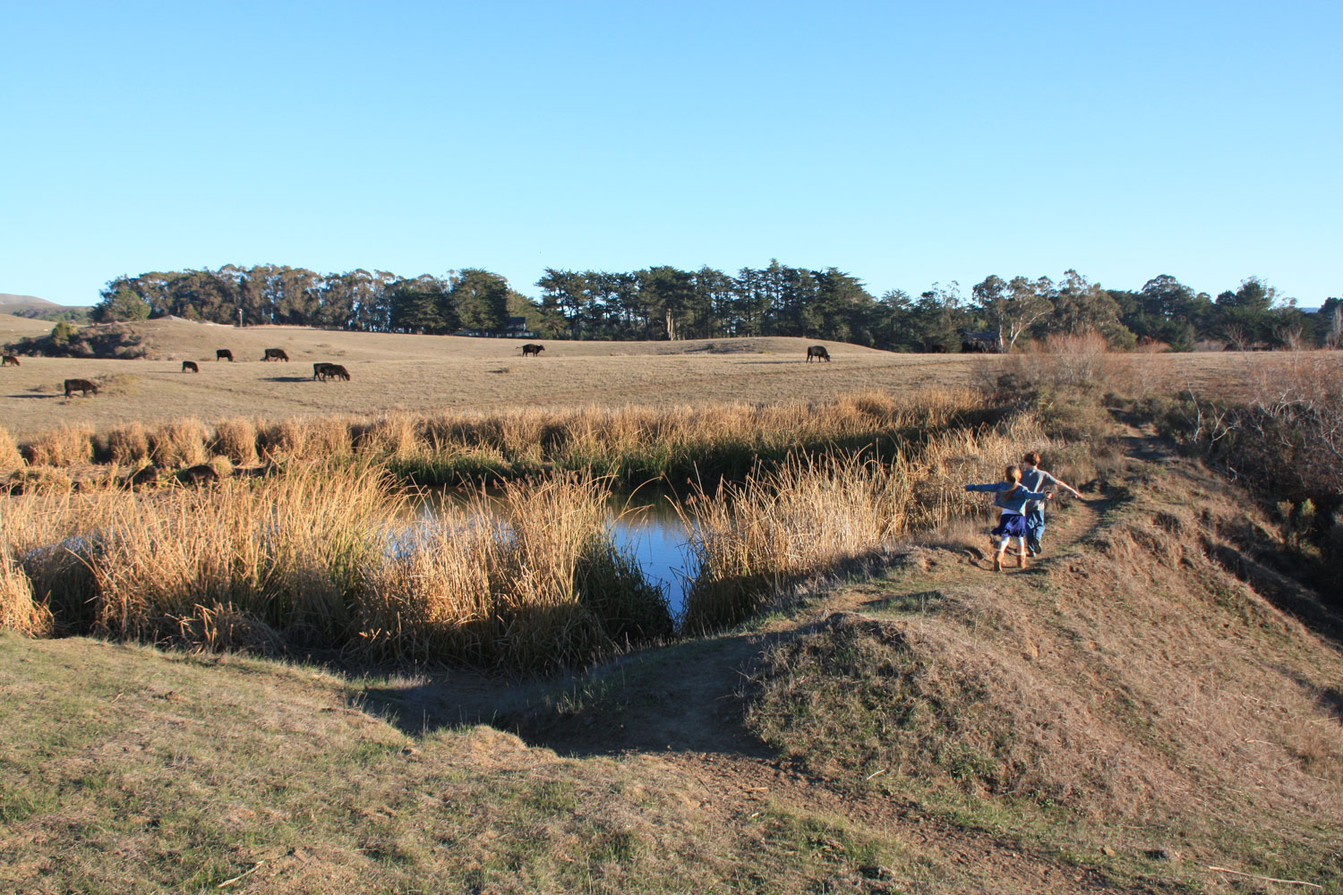 Hiking With Kids in Marin Tomales Bay Trailhead in Point Reyes Marin