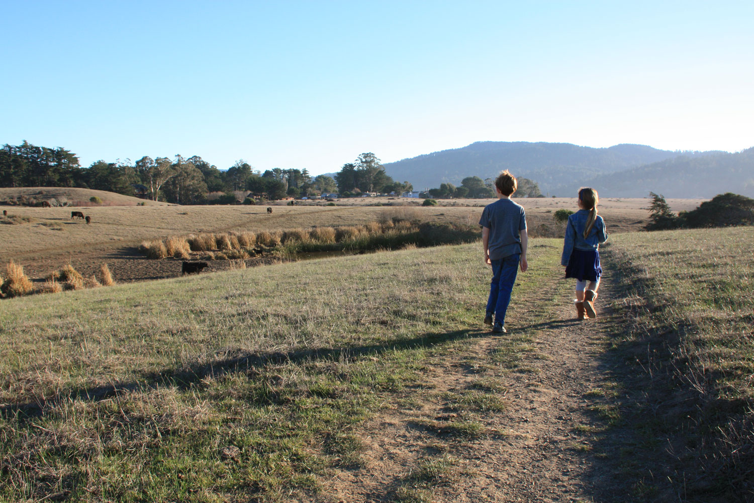 point reyes easy hikes
