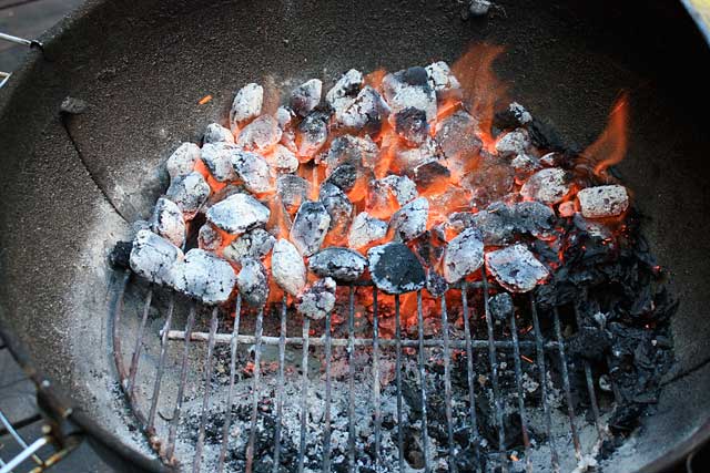 Santa Maria-Style Tri Tip Is a California Barbeque Classic | Marin Mommies