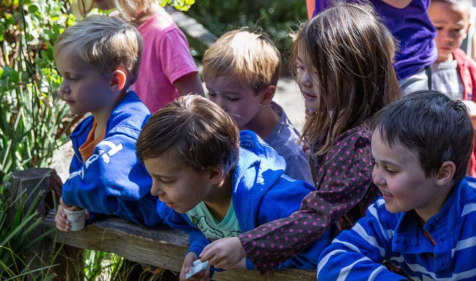 Best Handson Museums for Kids in the Bay Area