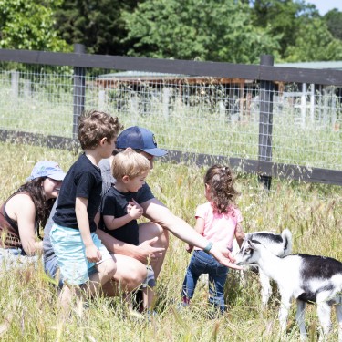 Marin & Bay Area Weekend Family Fun for May 1–3