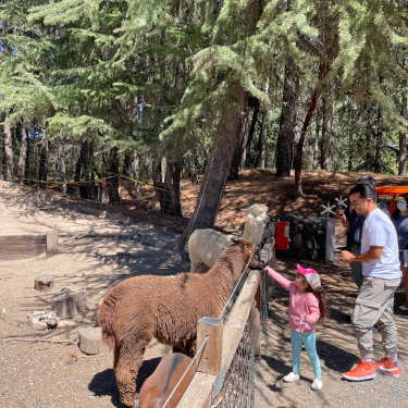 15 Fun Things to Do This Spring with Kids 5 and Under, Bay Area