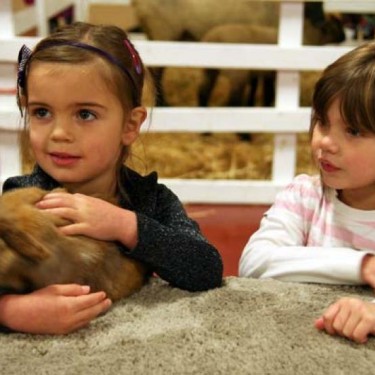 20 Free Things to Do with Bay Area Kids in March