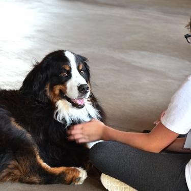 Marin Humane camp girl with dog