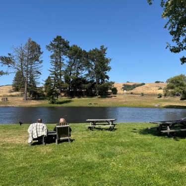 Pond and picnic area at the Cheese Factory