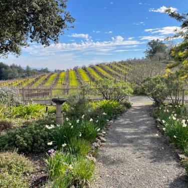 Jack London State Historic Park