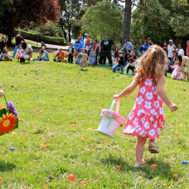 Egg Hunts, Marin County