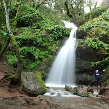 Fairway waterfall Novato