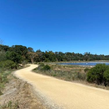 Hamilton Wetlands Bay Trail Novato