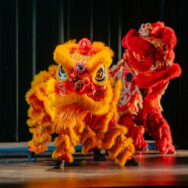 20 Free Things to Do with Bay Area Kids in February