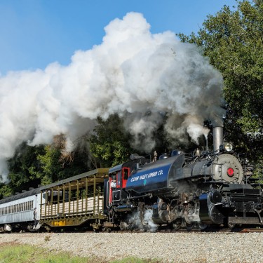 Steam locomotive pulling passenger cars at Niles Canyon Railway