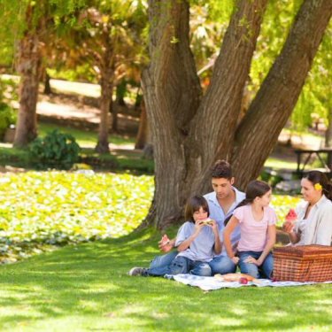 Awesome Spots For a Mother's Day Picnic in Marin County