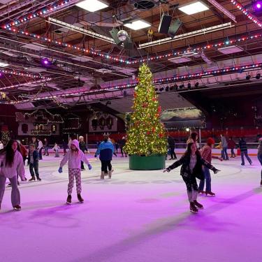 Snoopy's Home Ice Santa Rosa