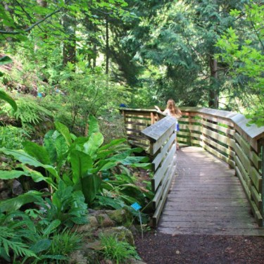 Bridge in lush green botanical garden