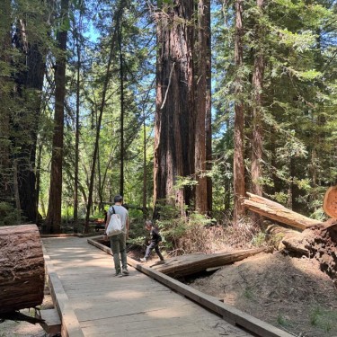 Family walking on trail at Roy's Redwoods Preserve San Geronimo Valley