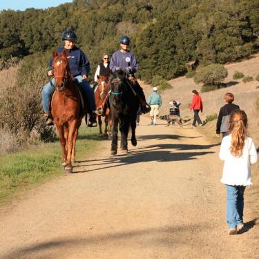 Rush Creek Preserve Novato