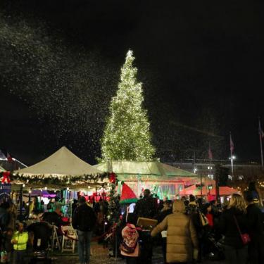 Civic Center Plaza Tree Lighting San Francisco