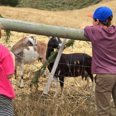 Spring Break Camps in Marin