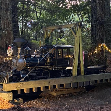 Winterfest at the Tilden Park Steam Trains in Berkeley