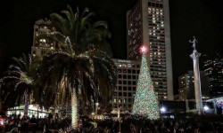 Union Square Christmas Tree