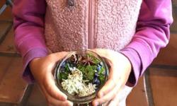 Child with moss garden