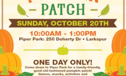 Piper Park Pumpkin Patch