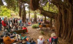 Flower Piano at the San Francisco Botanical Garden