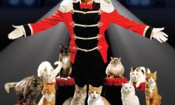 Circus showman in costume, surrounded by posing cats