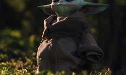 May the 4th Be With You: A Star Wars Event, Mill Valley Library