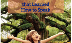 Travelling Lantern Presents: Rhonda Appleseed & the Tree that Learned How to Speak, Mill Valley Library